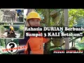 Lagu Rahasia DURIAN Berbuah Sampai 3 KALI Dalam SETAHUN!!