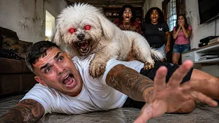 MEU CACHORRO É UM SKINWALKER… Deu Ruim!