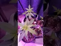 Age 21 Cannabis Strain J3 update