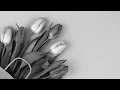 Tinashe,Kaash Paige-Angels