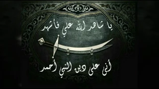 أنا الذي سمتني أمي حيدرا 