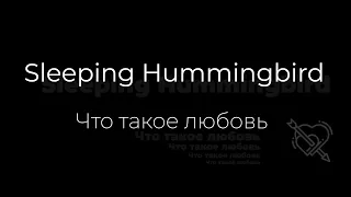 Download Sleeping Hummingbird – Что такое любовь (reupload) MP3