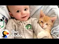 Download Lagu Cat Obsessed With Baby Brother Thinks He’s Also A Baby | The Dodo Cat Crazy