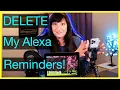 How Do I Set and DELETE Alexa Reminders Love and Data