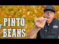 The BEST Pinto Bean Recipe - All Beans