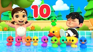 LIVE | Counting Farm Animals | Learn Numbers with Farm Animals Newborn Nursery Rhymes | LuLu LaLa