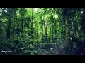 Download Lagu Lagu Dayak bajakah