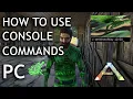 How to Use Console Commands on PC Single Player - Ark Survival Evolved