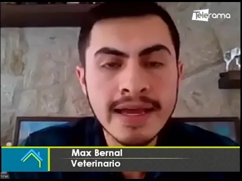 Consecuencias de dormir con mascotas