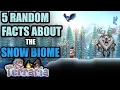 5 Random facts about The Snow Biome in Terraria