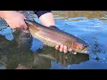 2024 Adult Trout Stocking Schedule Now Available B-Roll