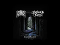 Download Lagu No Point in Living / Retreat Neurosis - Nameless Emotions (Japanese Black Metal) (Split Album)