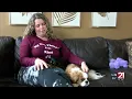 New Fort Wayne rescue helping Cavalier King Charles Spaniels