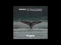Savvas - The whale dance