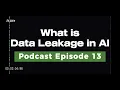 AI Podcast Ep13 What is Data Leakage