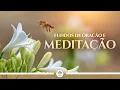 Download Lagu Fundos Instrumentais para Oração e Meditação [Volume II] | TEMPLO DE SALOMÃO