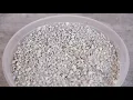 Dr Elsey s Cat Attract Litter Review We Tried It