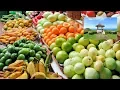 Download Lagu Funchal, Madeira, 2017