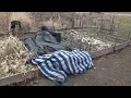 Lack of affordable housing leaves some Dubuque homeless sleeping in garden beds