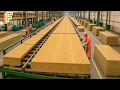 Download Lagu How Plywood Is Made From Veneer Inside Mass Production Factory | 15 Billion Square Feet Every Year