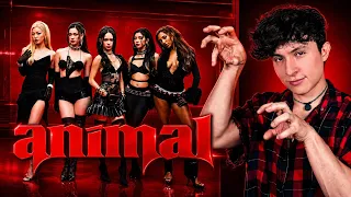 ANIMAL | Katseye | Coreografia Tutorial *mirrored* 🐱