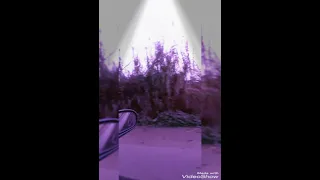 ما بينا معاد دندنها