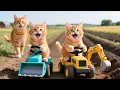 Download Lagu Mama Cat Trims Fur on the Farm and Makes Tiger Hat For Kittens At Home🐾🎩🐯