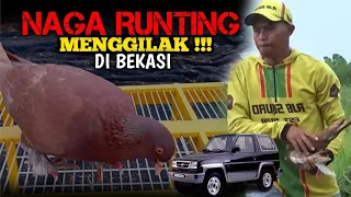 Download NGERIK-NGERIK SEDAP‼️7 AKSI NAGA RUNTING TEAM RJB SQUAD BIKIN JANTUNGAN ‼️ MP3