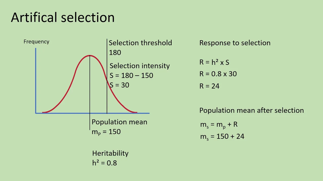 Quantitative genetics 6 - Applications