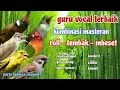 Download Lagu LANGSUNG MONCER MENYALA !!Masteran Kombinasi Tembakan Kasar segantangan