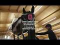 Equine Sports Medicine
