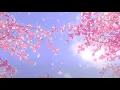 (Cover) Haru Dorobou 春泥棒 Spring Thief - Yorushika【Thai Version by Soneshiner】