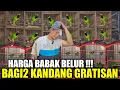 Download Lagu BUSYET ! CUMA KIOS MANTO YG JUAL CUCAK IJO GACOR HARGA MODAL GRATIS KANDANG BUAT KICAU MANIA