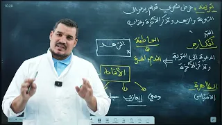 الدرس 1 عصر الضعف والانحطاط الزهد مشترك بين جميع الشعب 