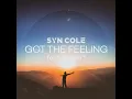 Got the Feeling (feat. kirstin) - Syn Cole