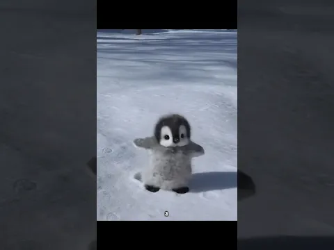 What Happens When a Penguin Sees a Human? 🐧😱 #shorts