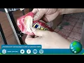 Download Lagu Selladora de celofán con mesa con pedal de 35 cm EM-ESCMP-351
