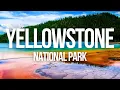 Top Things To Do In Yellowstone National Park - See The Highlights In One Day
