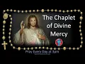 Pray the Chaplet of Divine Mercy the 3 o clock prayer multi-language cc subtitles