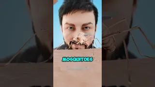 Don T Click On The SOUND Shorts 