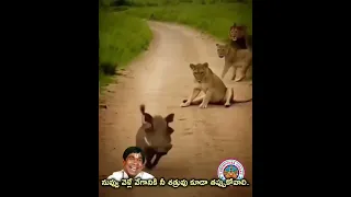 Https Www Facebook Com Share V 17hVYdTXFd 