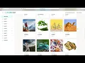 Flow Reading Fluency Student Interface