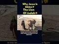 Download Lagu Why Jesus Is REALLY The Lion Of Judah 🔥🦁 #shorts #youtube #jesus #lionofjudah  #catholic #fypシ
