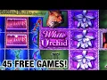 White Orchid Slot Machine Bonus 12 00 Bet 45 Free Games Awesome WIN