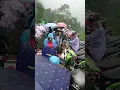 Download Lagu macet total.. OM Adella Ngelak Jambangan Bawang Batang