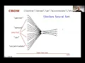 Machine Learning 52 CBOW - Continuous Bag of Words