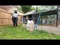 Producers Pride Chicken Coop Spring Cleaning