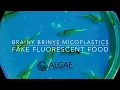 Brainy Briny Microplastics Fake Fluorescent Food 4K