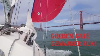 Avast Ye Sea Monsters!