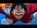 Luffy and Zoro Reunite After 2 Years One Piece